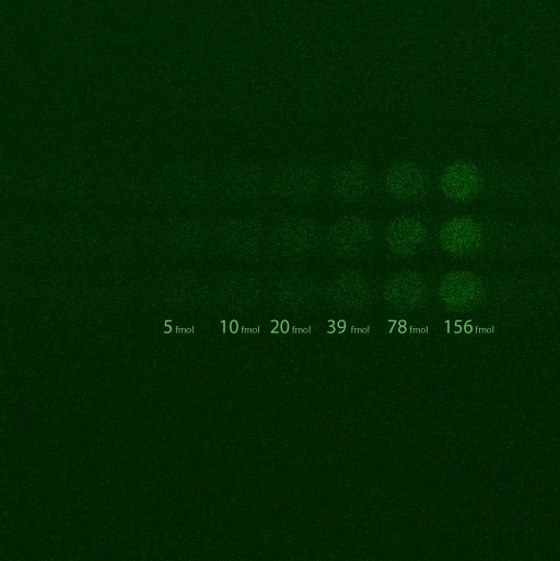 5 seconds total exposure time - summation of 5 single frames, each acquired over 1 second, in EM mode at 10MHz with an em gain of 5000 at -85ºC.