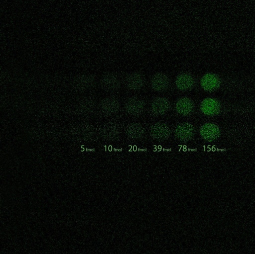 5 seconds total exposure time - summation of 5 single frames, each acquired over 1 second, in Photon Counting EM mode at 10MHz with an em gain of 5000 at -85ºC