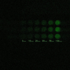 bioluminescence-photon-counting-mode-emccd-512x511